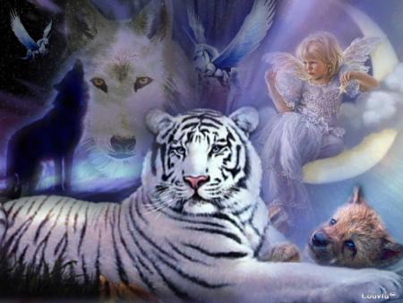 TIGRE