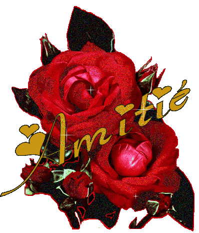 POUR MES AMIS