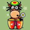 COOL RASTA