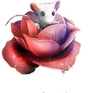 POEME