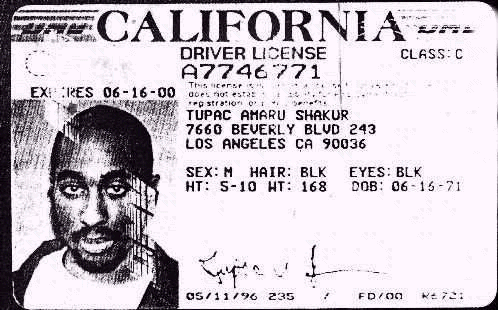 POUR LES FANS DE TUPAC REGARDER