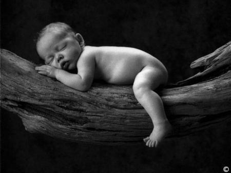 trop beau