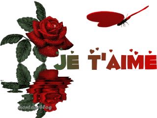 mon amour c pour toi